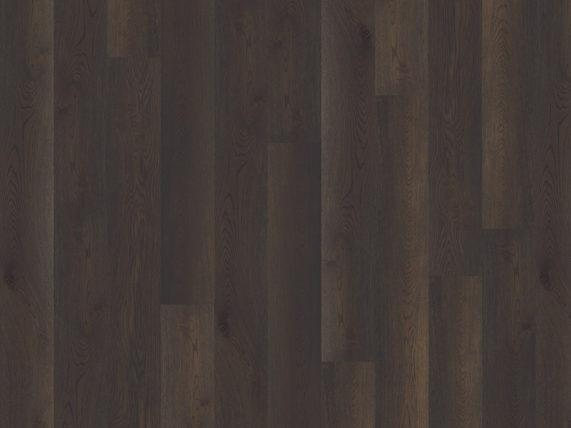 duchateau signature global winds buran european oak engineered hardnatural wood floor uv lacquer finish for interior use distributed by surface group international