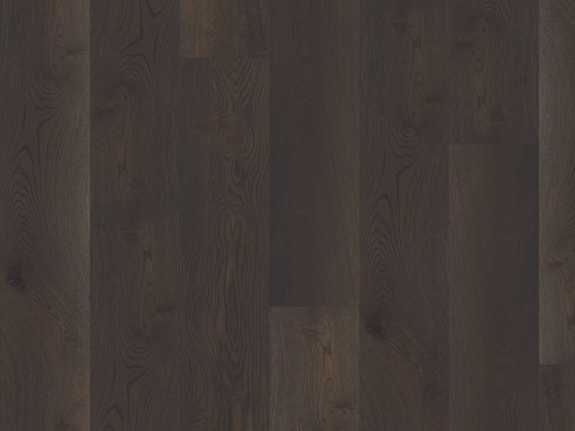 duchateau signature global winds buran european oak engineered hardnatural wood floor uv lacquer finish for interior use distributed by surface group international