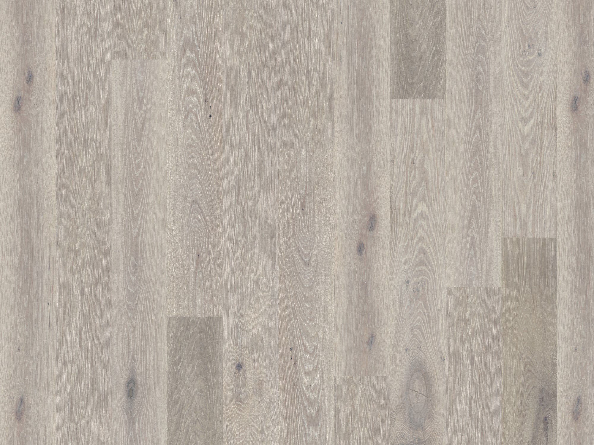 duchateau signature global winds harmattan european oak engineered hardnatural wood floor uv lacquer finish for interior use distributed by surface group international