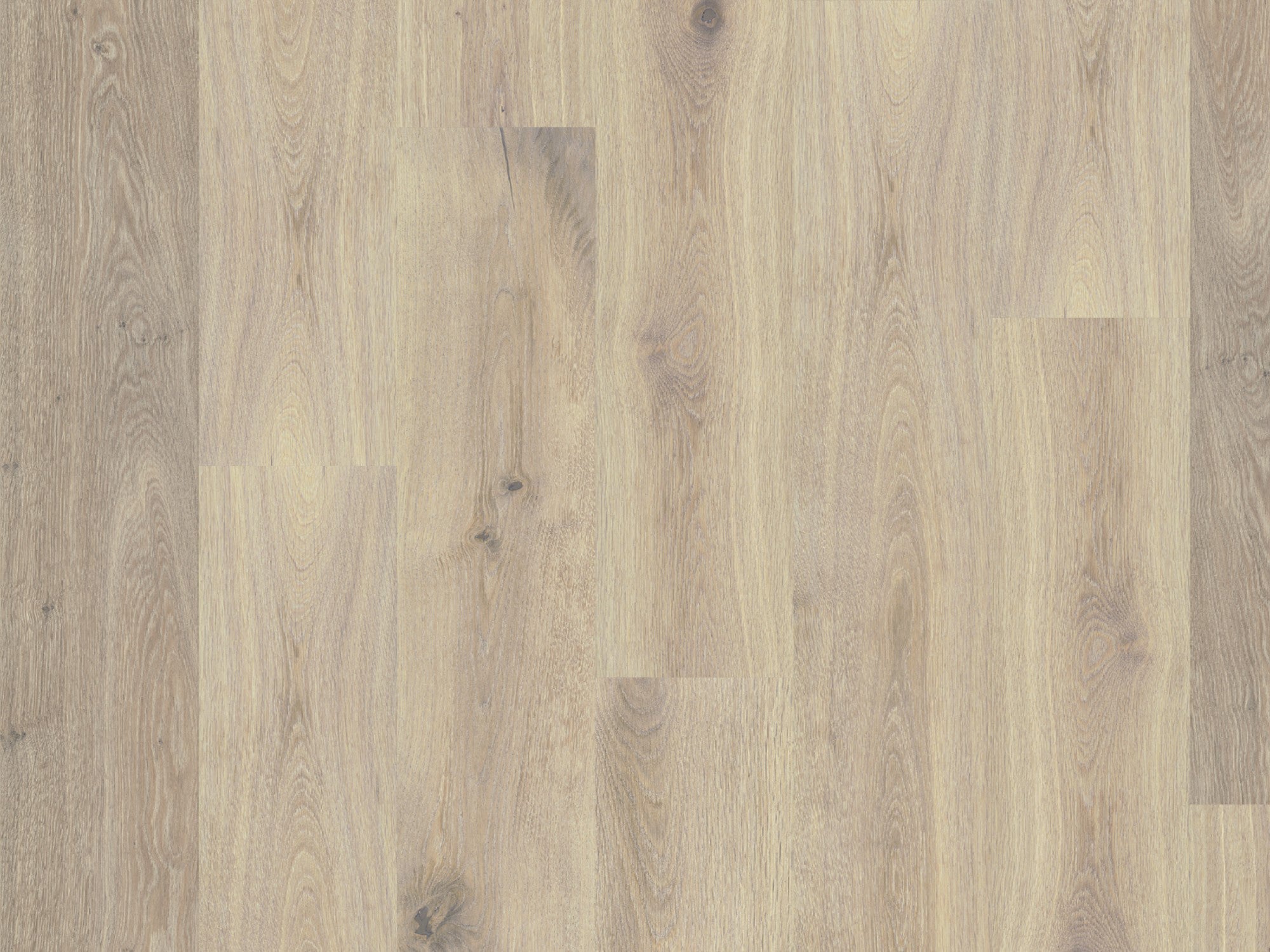 duchateau signature global winds mistral european oak engineered hardnatural wood floor uv lacquer finish for interior use distributed by surface group international