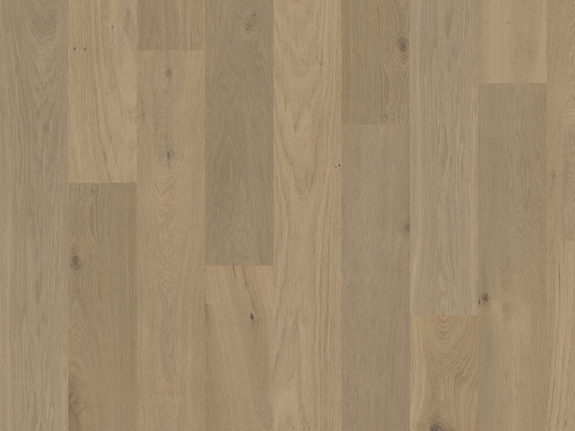 duchateau signature terra savanna european oak engineered hardnatural wood floor uv lacquer finish for interior use distributed by surface group international