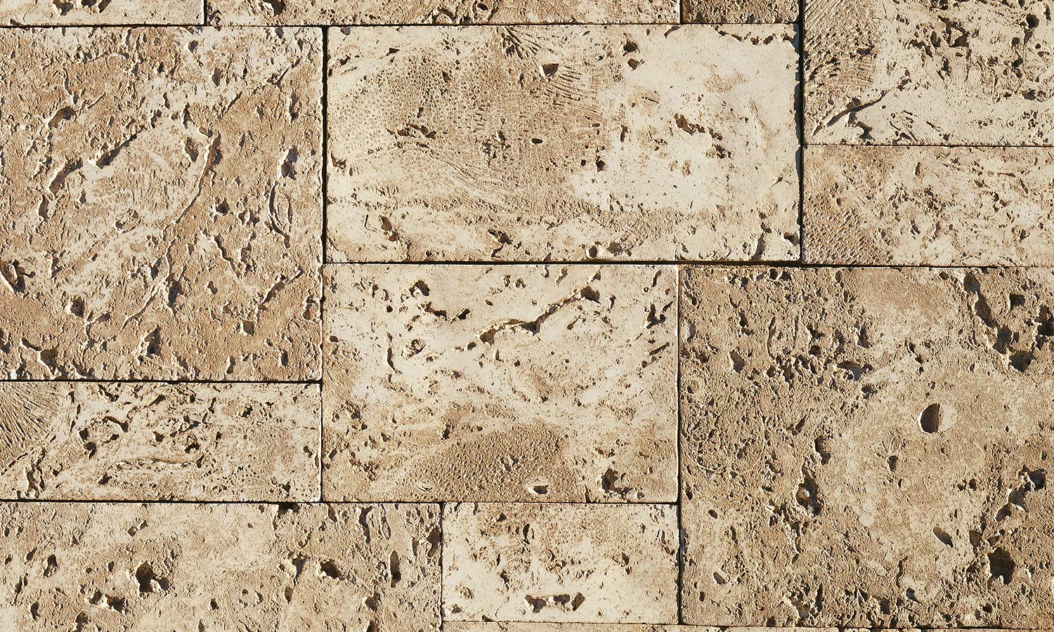 faux stone wall veneer flat sanibel coastal reef for outdoor and indoor wall by surface group eldorado stone