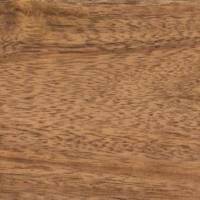Acacia tile and surface collection