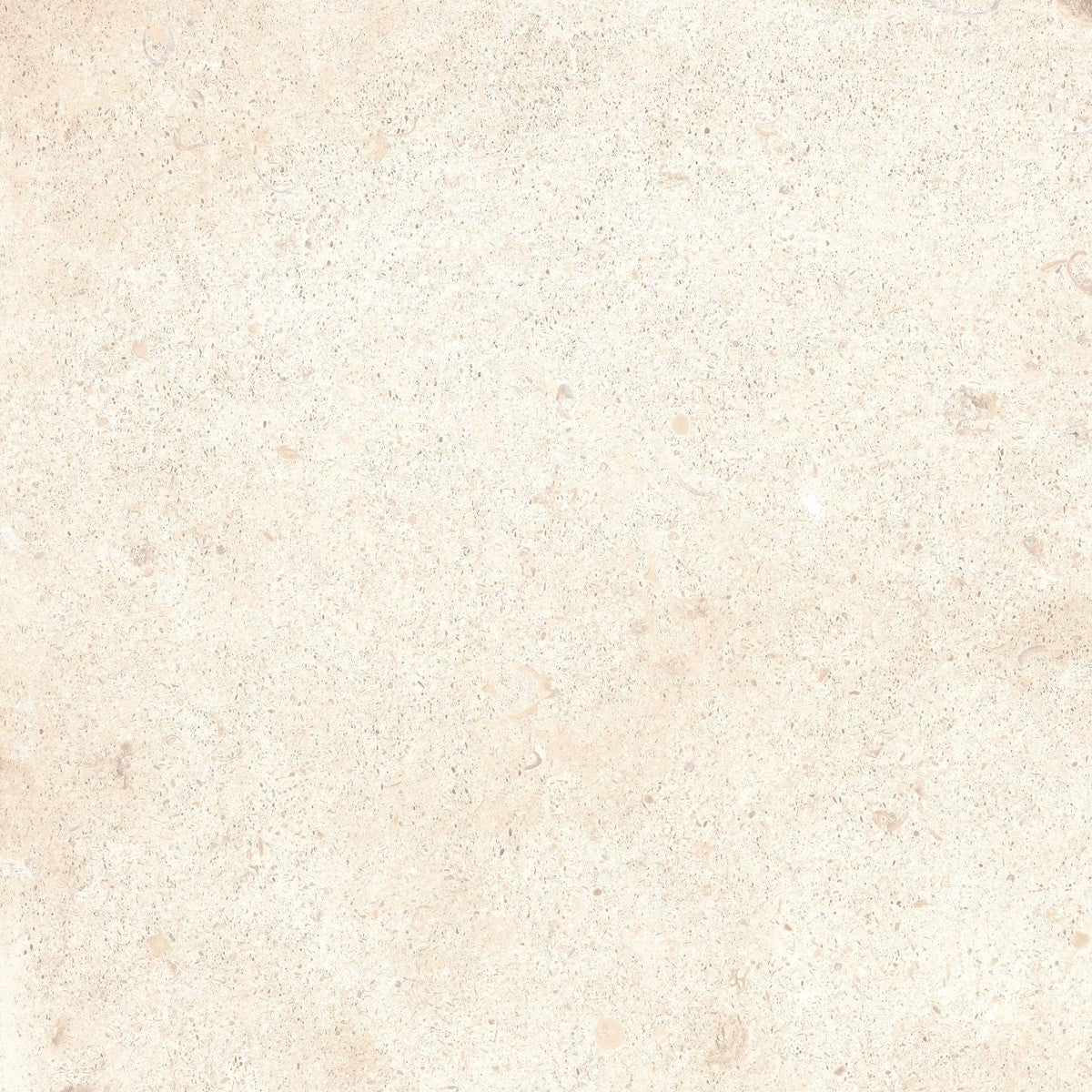 Outdoor Earth Porcelain Tile
