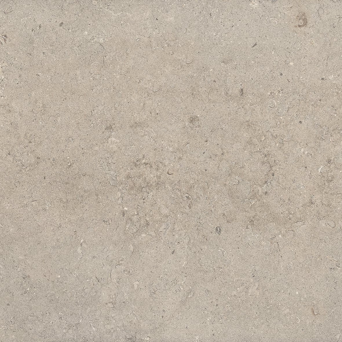 Lith Antique Cream Porcelain Tile