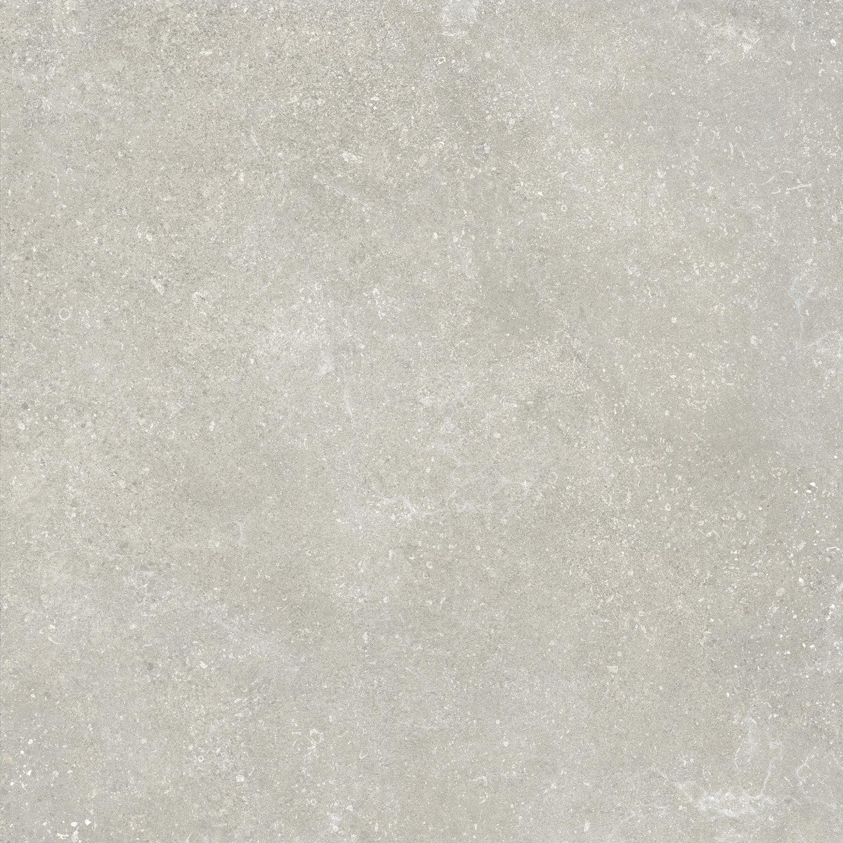 Untamed Wander Cool Porcelain Tile