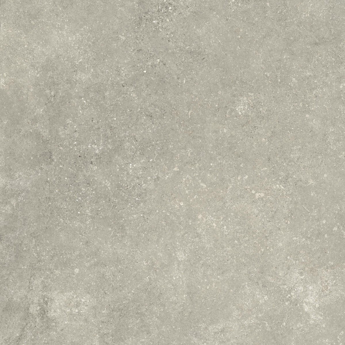 Untamed Wander Sage Porcelain Tile