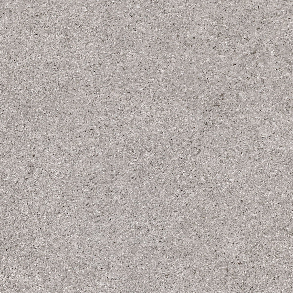 Infinity Absolute Porcelain Tile