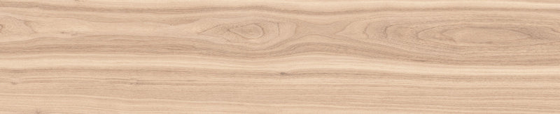 Nottingham β Ceramic Materials collection