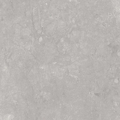 Graystone Silver Porcelain