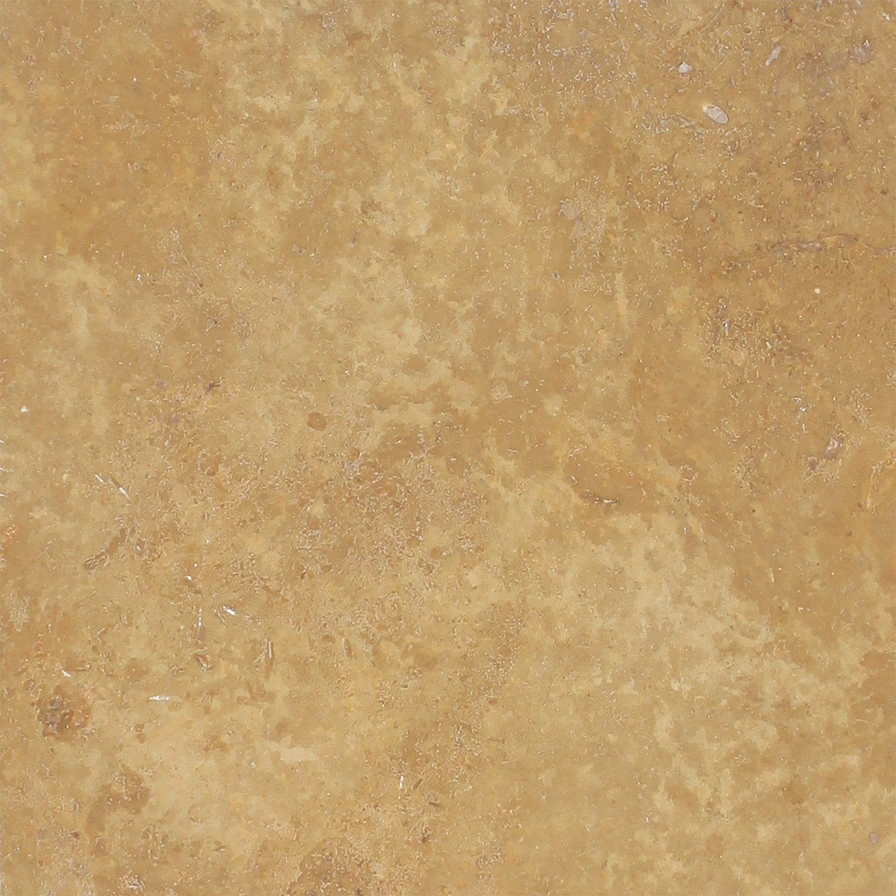 Noce Premium Travertine