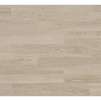 Paper Birch – Porcelain collection