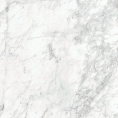 Bianco Gioia Majesto β Porcelain collection