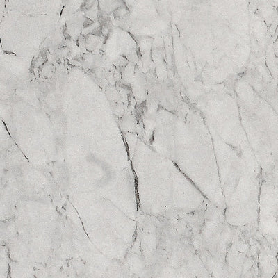 White Glossy Solid Color Porcelain tile and surface collection