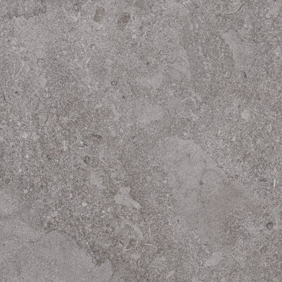 Aurora Elegance Ashen Dawn