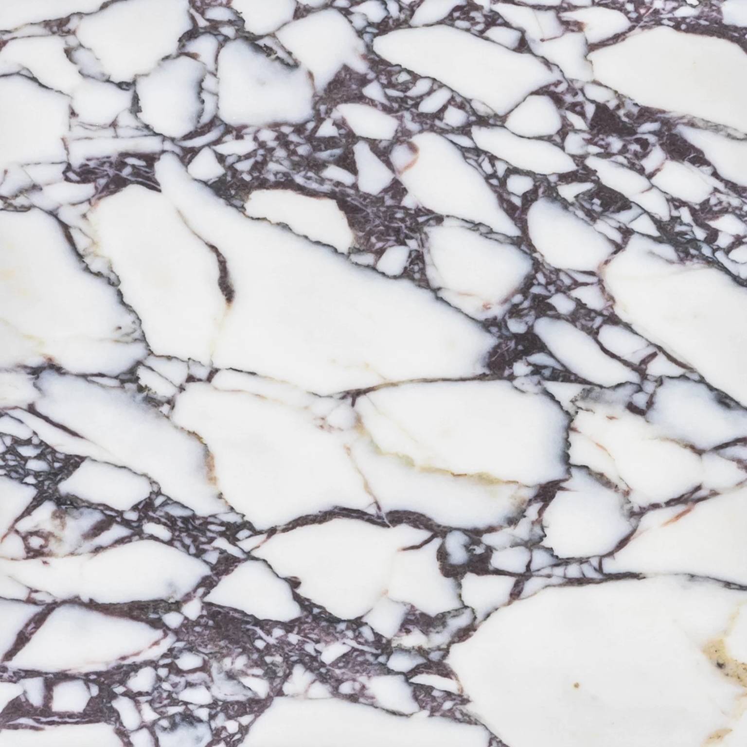 Bianco Violetta Marble