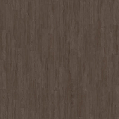Ebony Timber – Porcelain collection