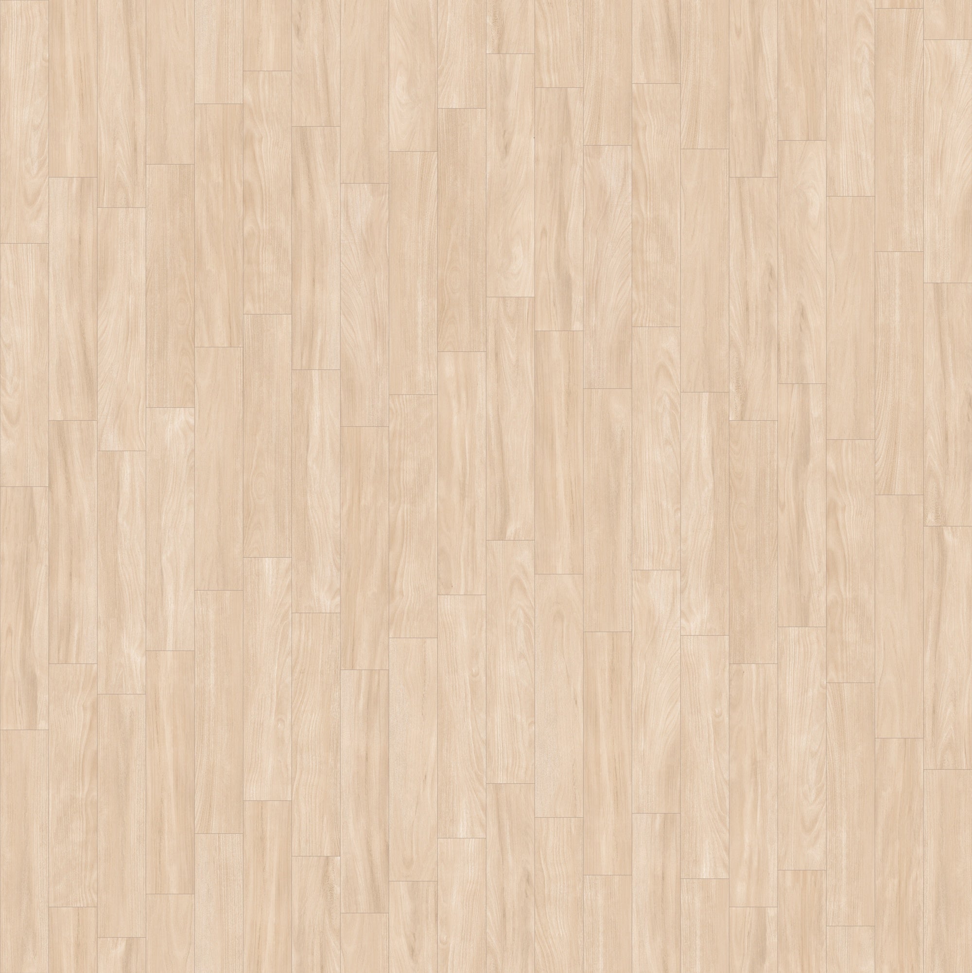 Timber Honey Porcelain