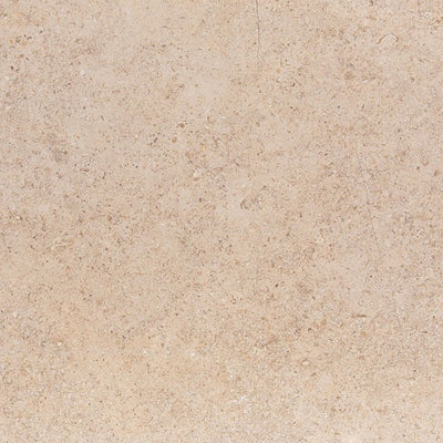 Cecina Limestone Tile tile and surface collection