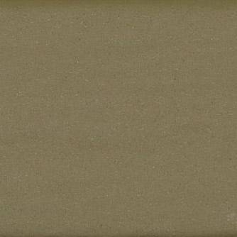 Chromatic Odyssey Cactus Bloom