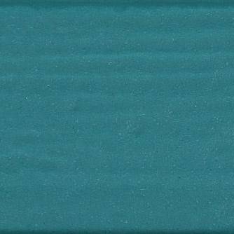 Chromatic Odyssey Kiwi Coast