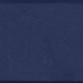 Chromatic Odyssey Nocturnal Echo