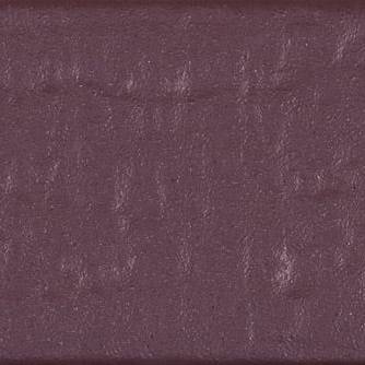 Chromatic Odyssey Plum Mystique