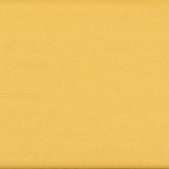 Chromatic Odyssey Sunlit Shore