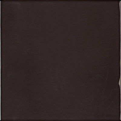 Chromatic Symphony Coal Canvas