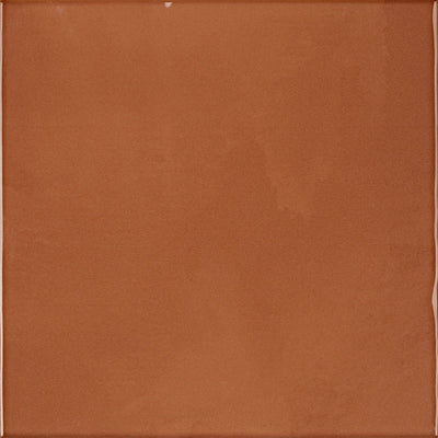 Chromatic Symphony Mandarin Muse