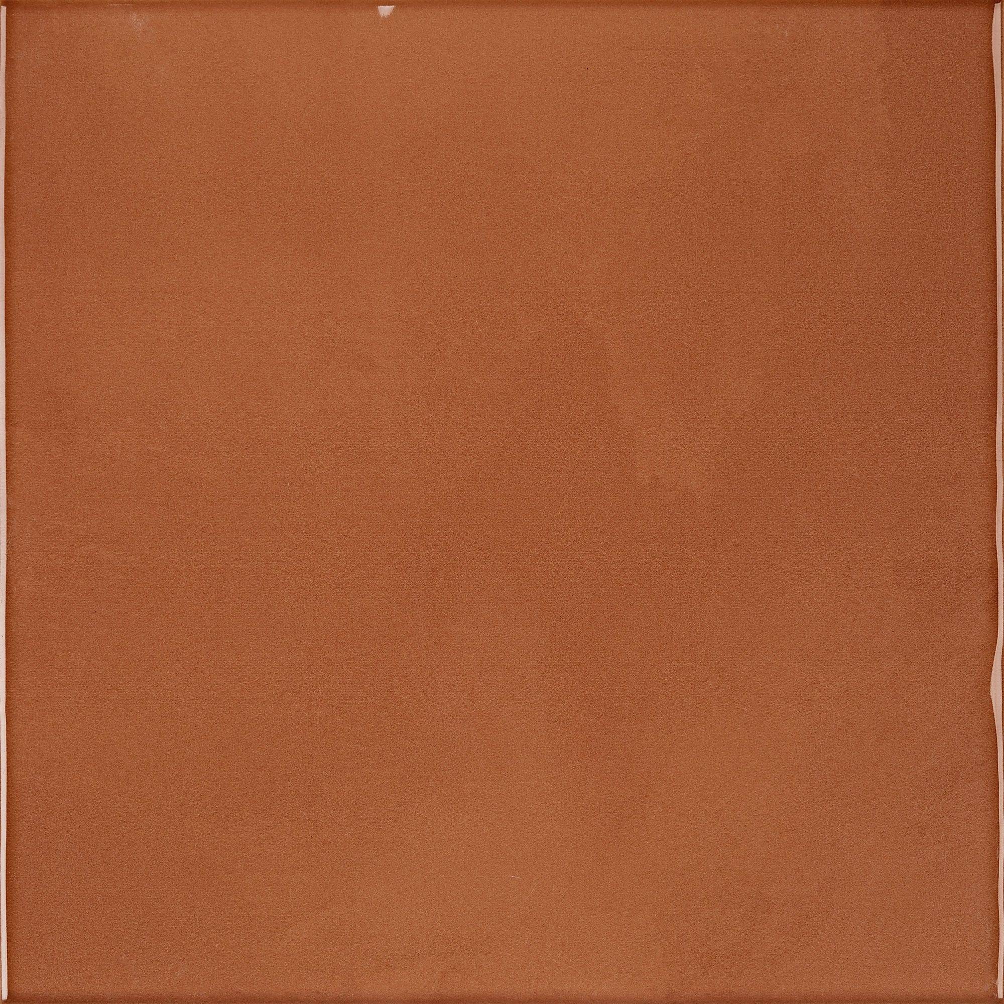 Chromatic Symphony Mandarin Muse