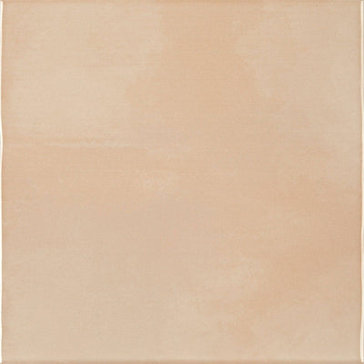 Chromatic Symphony Seedling Serenity