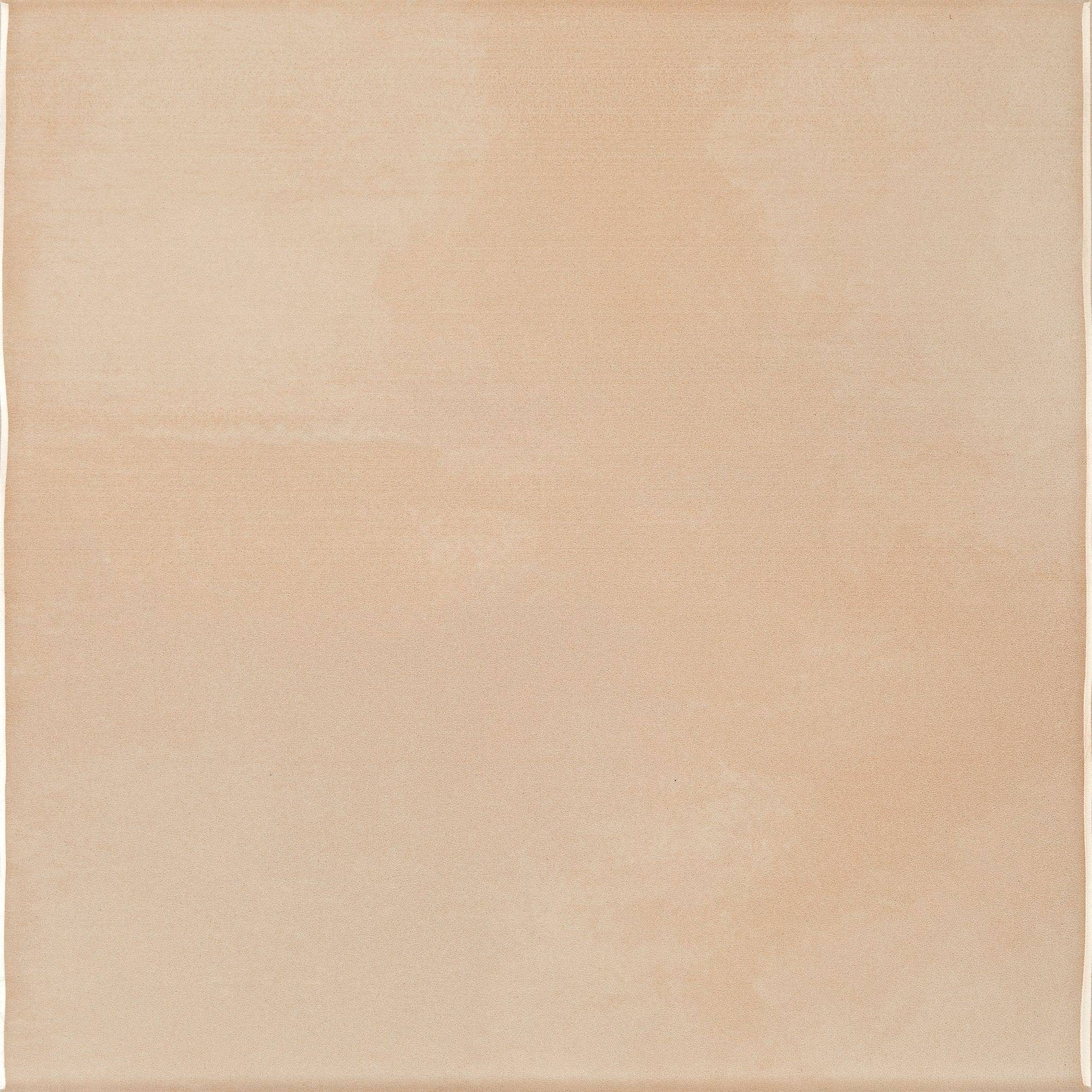 Chromatic Symphony Seedling Serenity