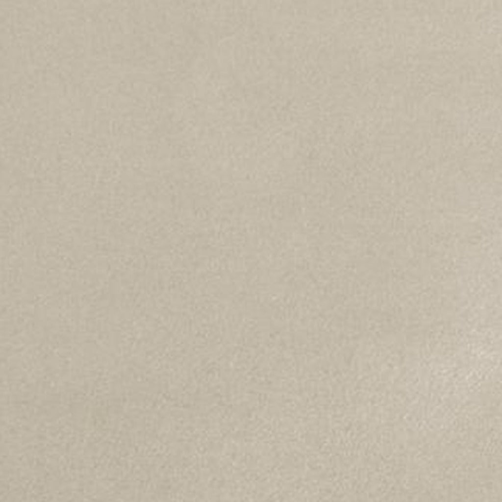 Adex Floor Monzon Porcelain color swatch