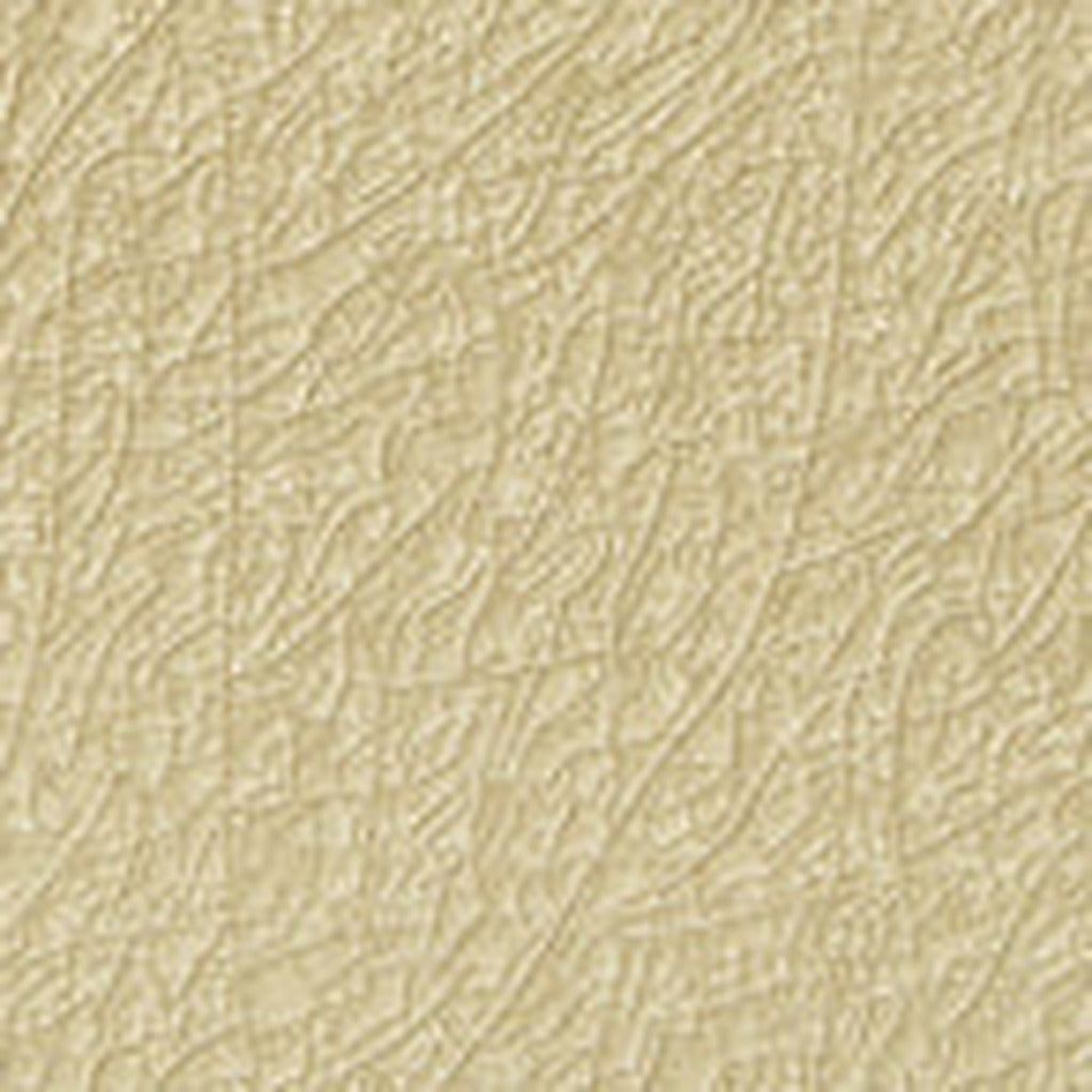 Adex Ocean Sand Dollar Field Tile color swatch