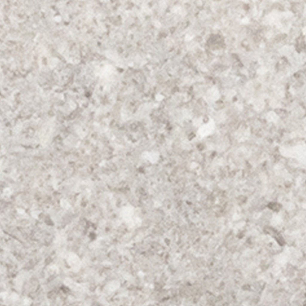 Sand Dollar Field Tile