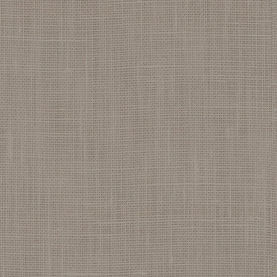 Dw Ivory tile and surface collection