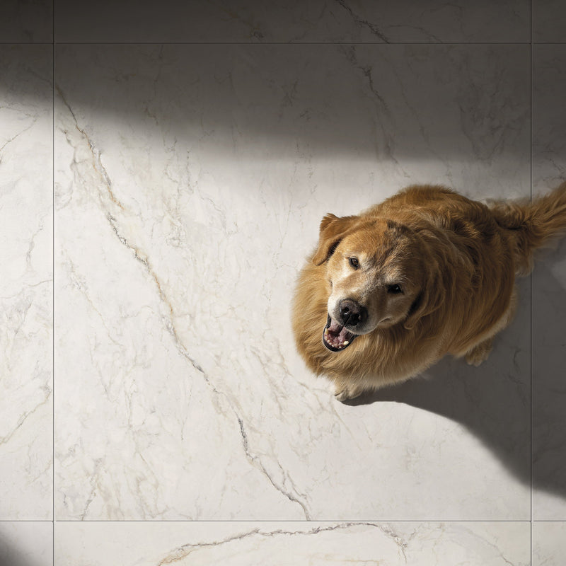 Golden Apuan – Porcelain collection