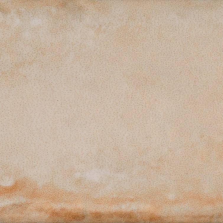 Earthen Elegance Sandy Serenade