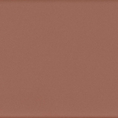 Earthly Impressions Coastal Dream