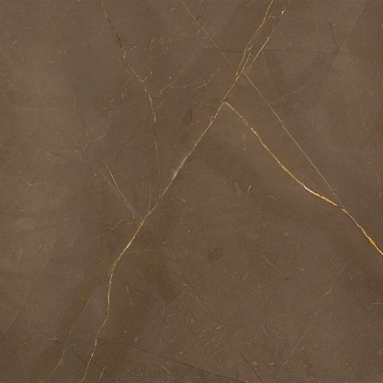 gris pulpis brown marble texture close up