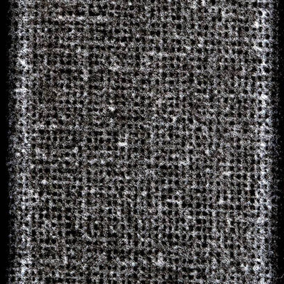 Harbor Luminescence Dusk Descent