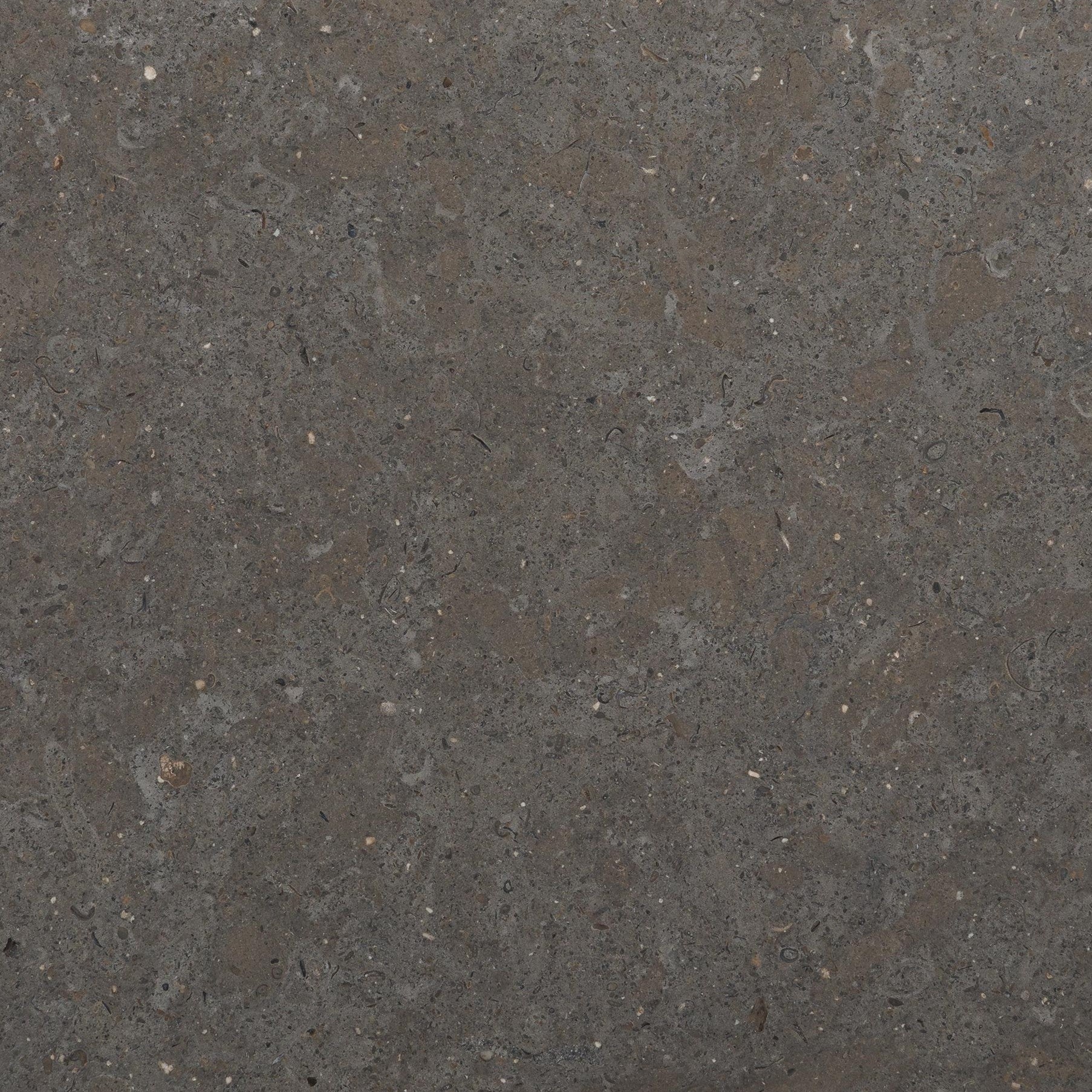 Lagos Blue Limestone Tile