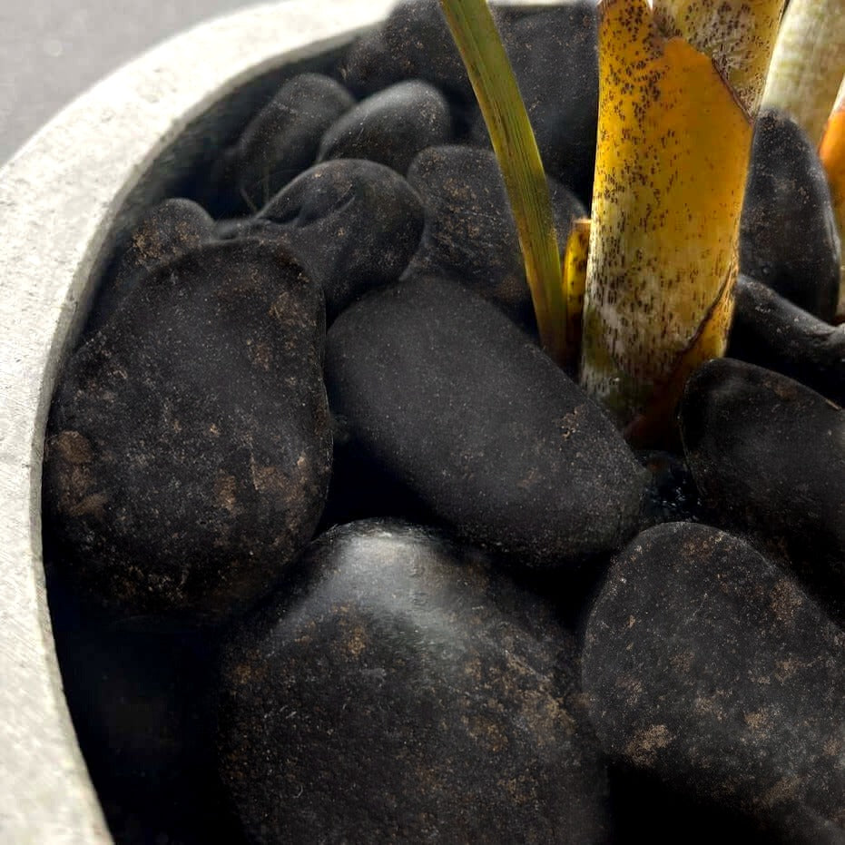 Loose Pebbles