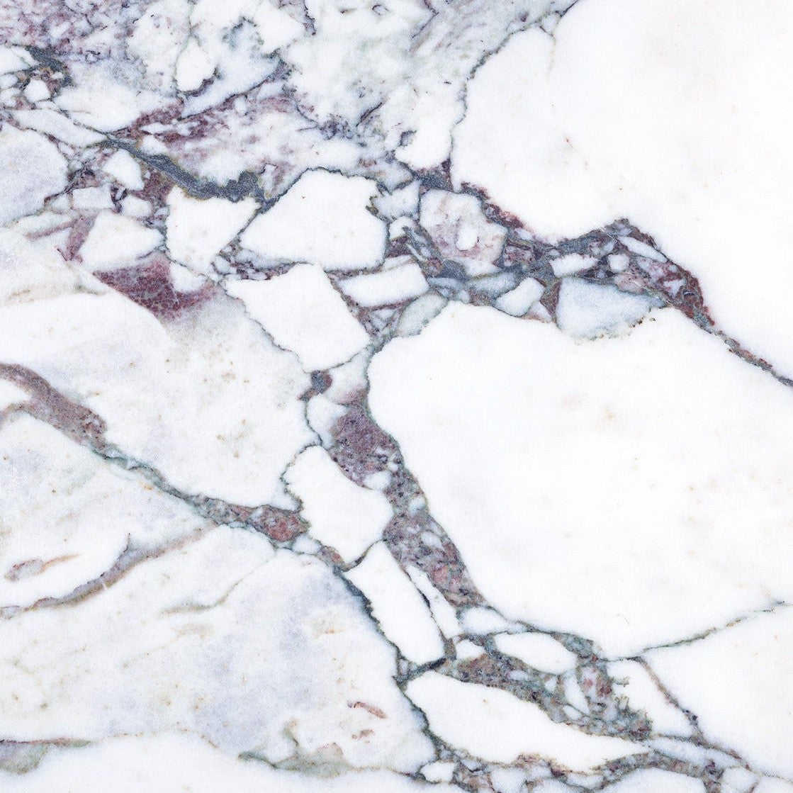 Calacatta Viola Field Tile