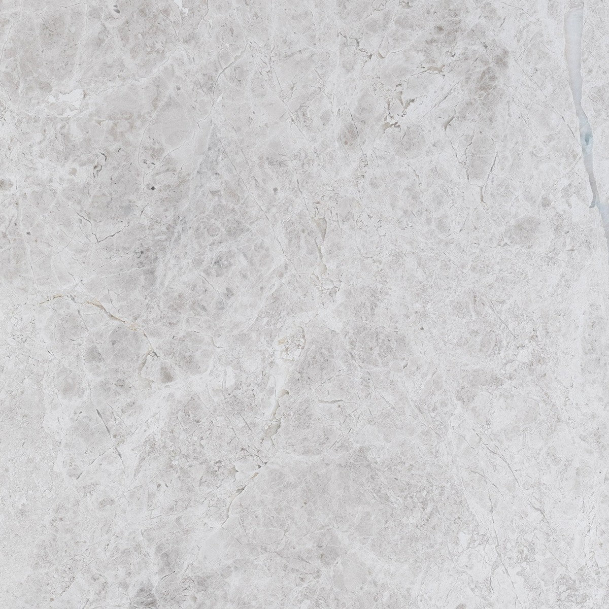 Tundra Grey Field Tile