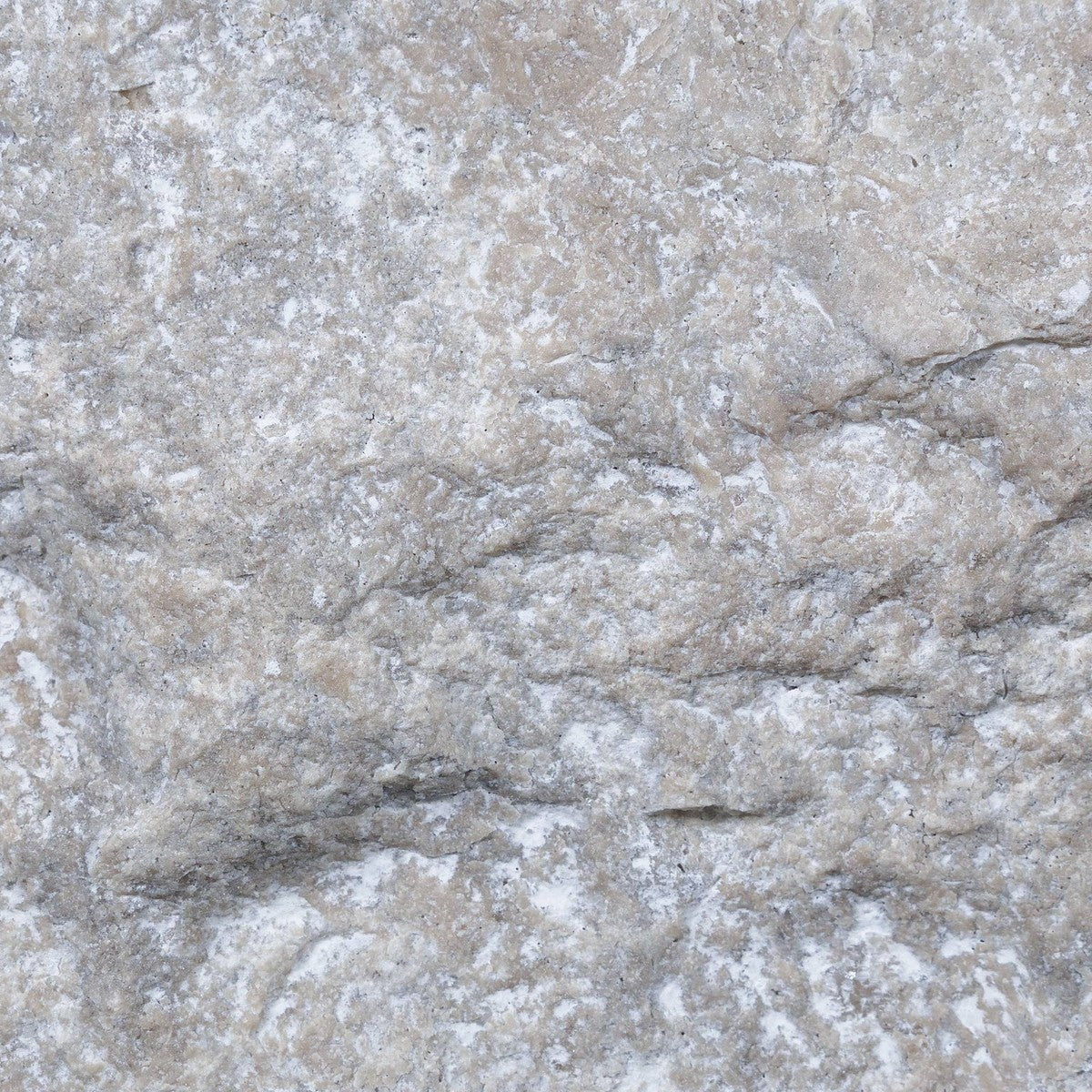 Silver Premium Wall Veneer