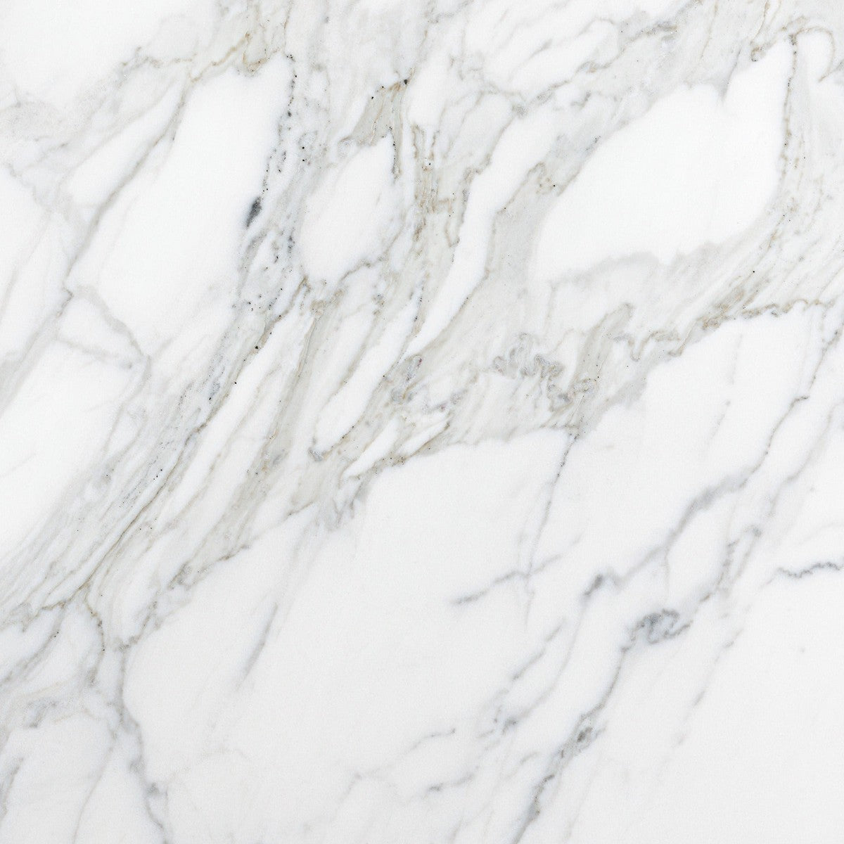 Calacatta Gold Field Tile