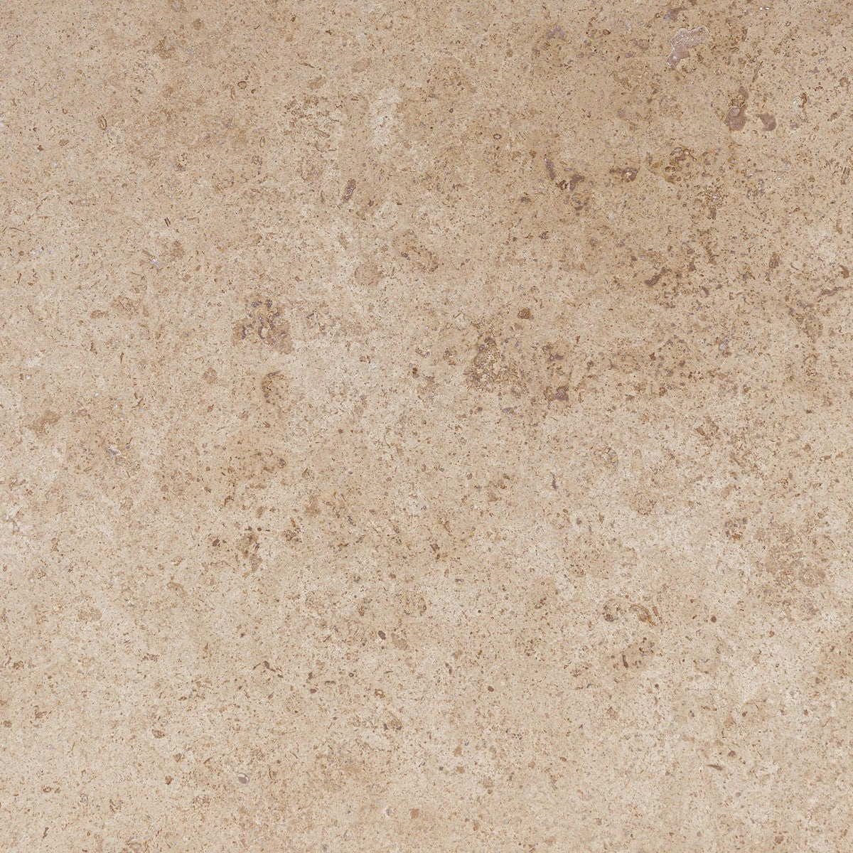 Noce Premium Field Tile