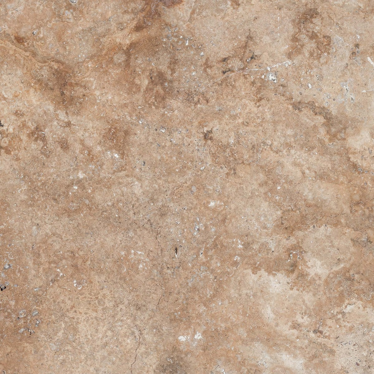 Autumn Leaves Pavers